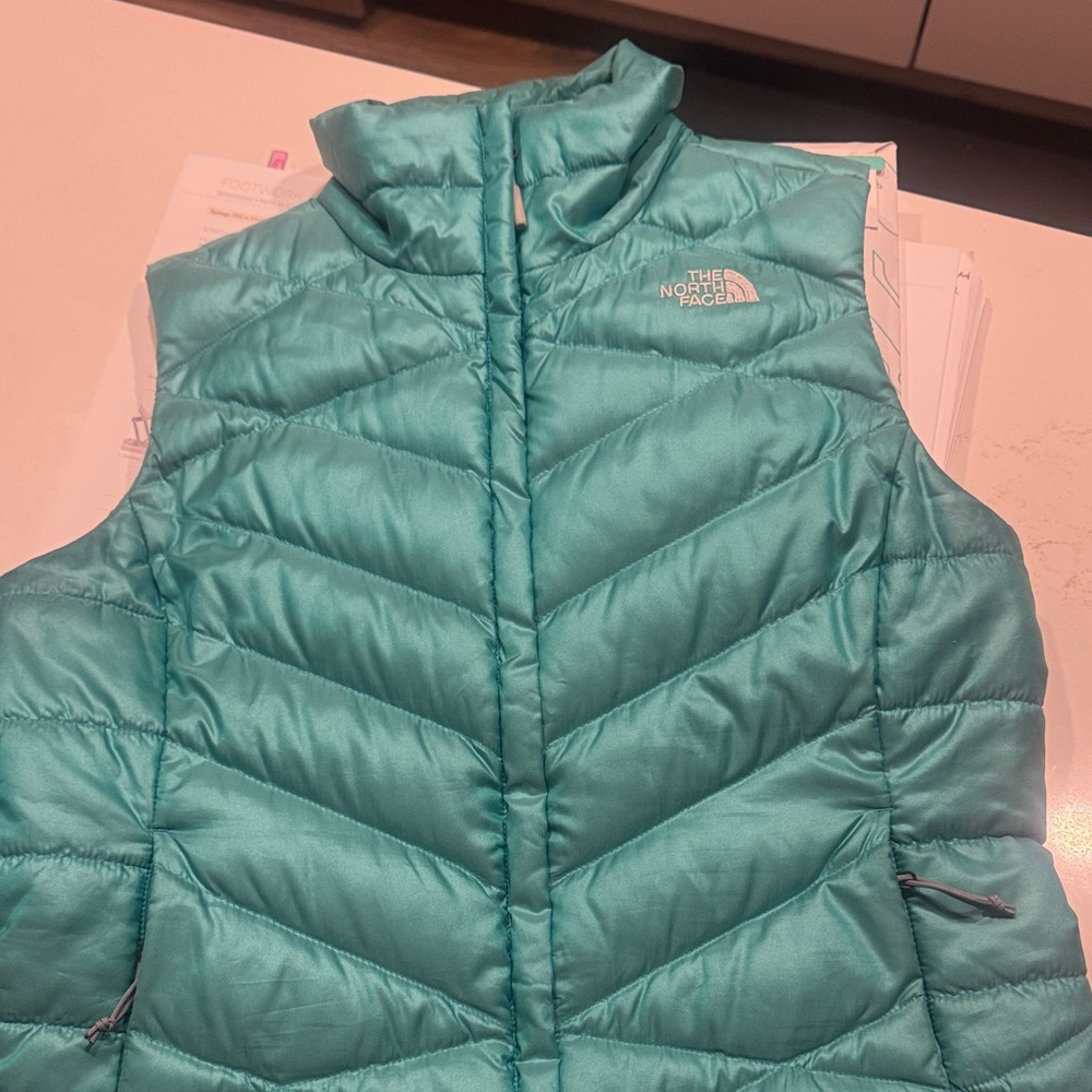 The North Face Aqua Puffer Vest